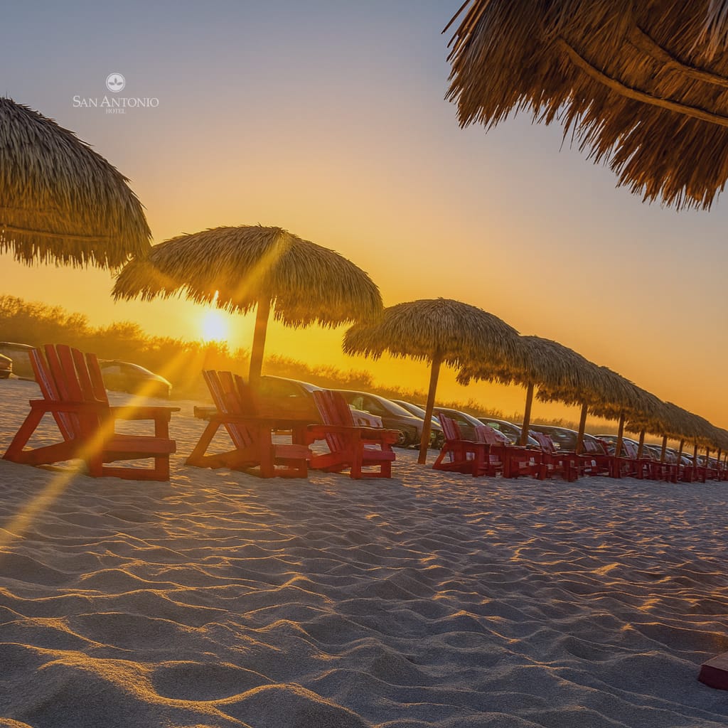 Lo mejor de Playa Miramar