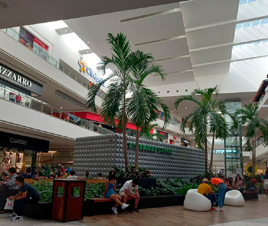Altama City Center: El Corazón Comercial de Tampico
